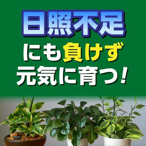 バイオスティミュラント　X-ENERGY つめかえ用 1000ml　活力液 詰替え用 エックスエナジー 新商品 |  | 04