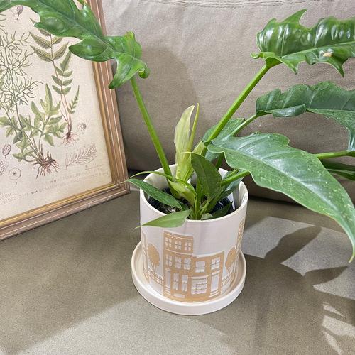 鉢　プランター　デルキ FD31NA グリッグポット E-L-NA(サイズ内径Φ125ｍｍ)　可愛い　かわいい 観葉植物 鉢植え 植え込み |  | 01