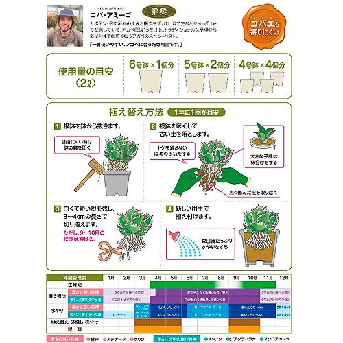 アガベ　花ごころ アガベの土 2L　専用　用土 多肉植物 根腐れ　防止 粒状 | 花ごころ | 01