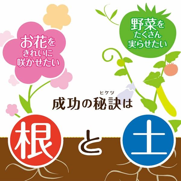 フルビオ 一発土作りの素 2.5kg 土壌改良材 フルボ酸 腐植酸 完熟たい肥 有機質資材 家庭菜園 園芸資材 |  | 01