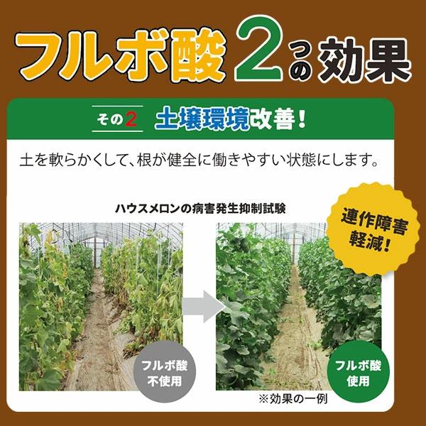 フルビオ 一発土作りの素 2.5kg 土壌改良材 フルボ酸 腐植酸 完熟たい肥 有機質資材 家庭菜園 園芸資材 |  | 03