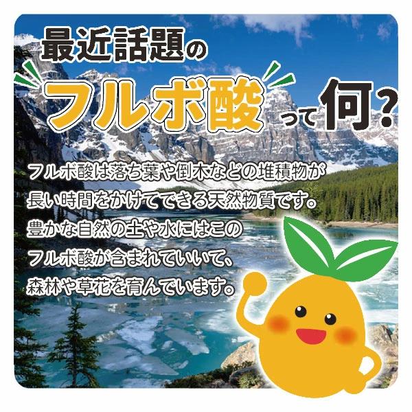 フルビオ 一発土作りの素 2.5kg 土壌改良材 フルボ酸 腐植酸 完熟たい肥 有機質資材 家庭菜園 園芸資材 |  | 04
