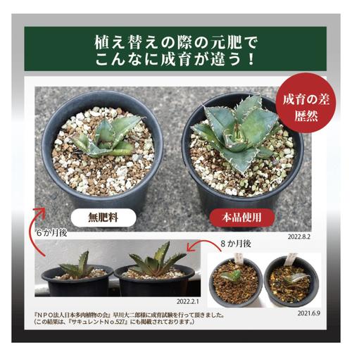 肥料　東商 多肉植物・アガベの肥料 100g【2個までネコポス可】　アガベ 元肥　追肥 植え替え 多肉植物 |  | 03