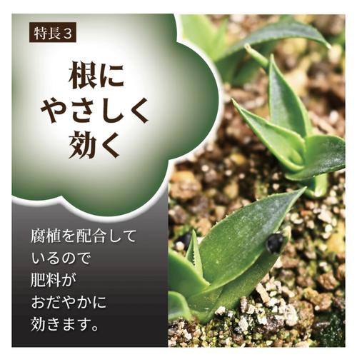 肥料　東商 多肉植物・アガベの肥料 100g【2個までネコポス可】　アガベ 元肥　追肥 植え替え 多肉植物 |  | 06