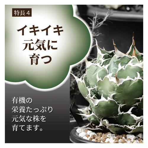 肥料　東商 多肉植物・アガベの肥料 100g【2個までネコポス可】　アガベ 元肥　追肥 植え替え 多肉植物 |  | 07