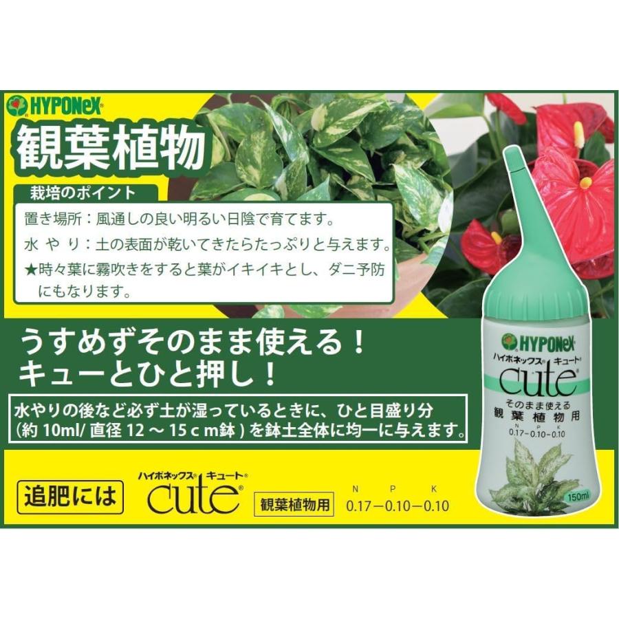 ハイポネックス キュート 観葉植物用 150ml　液体肥料 そのまま使える ストレートタイプ 希釈なし 簡単 | ハイポネックス | 01