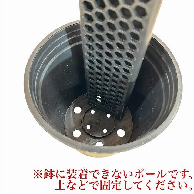 Jolie Nursery 半月型モスポール 30cm 黒 水苔無し(ポール単品)　ジョリーナーセリー 固定・延長可能 支柱 観葉植物 |  | 08