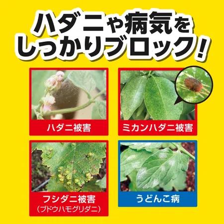 KINCHO園芸 サンケイ クムラス 2g×10 ハダニ駆除 うどんこ病対策 黒星病 |  | 04