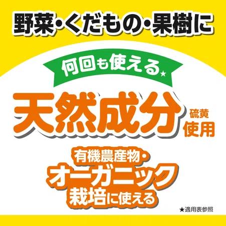 KINCHO園芸 サンケイ クムラス 2g×10 ハダニ駆除 うどんこ病対策 黒星