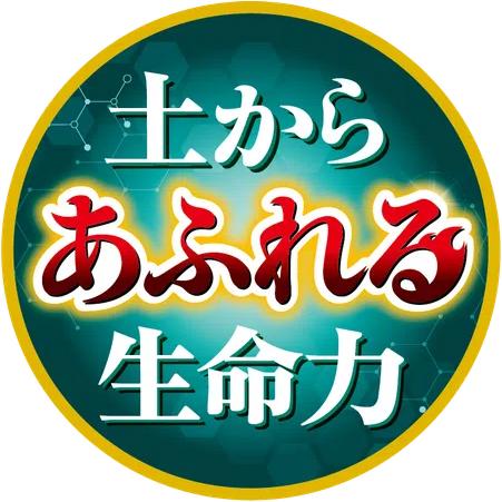 KINCHO園芸 X-ENERGYロング 粒タイプ 700g　活力液 詰替え用 エックスエナジー 新商品 |  | 05