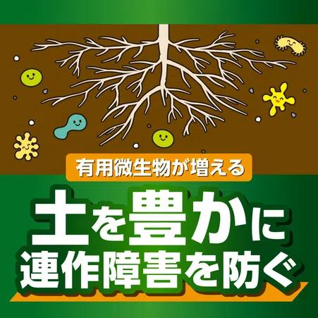 KINCHO園芸 X-ENERGYロング 粒タイプ 700g　活力液 詰替え用 エックスエナジー 新商品 |  | 01