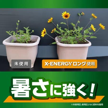 KINCHO園芸 X-ENERGYロング 粒タイプ 700g　活力液 詰替え用 エックスエナジー 新商品 |  | 02