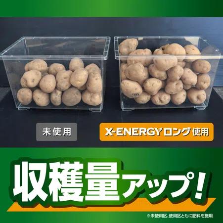 KINCHO園芸 X-ENERGYロング 粒タイプ 700g　活力液 詰替え用 エックスエナジー 新商品 |  | 03