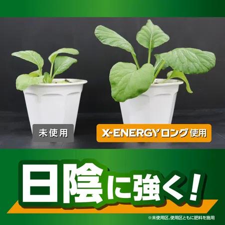 KINCHO園芸 X-ENERGYロング 粒タイプ 700g　活力液 詰替え用 エックスエナジー 新商品 |  | 04