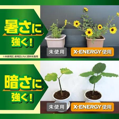 KINCHO園芸 X-ENERGYロング 粒タイプ 700g 活力液 アンプル型 エックス