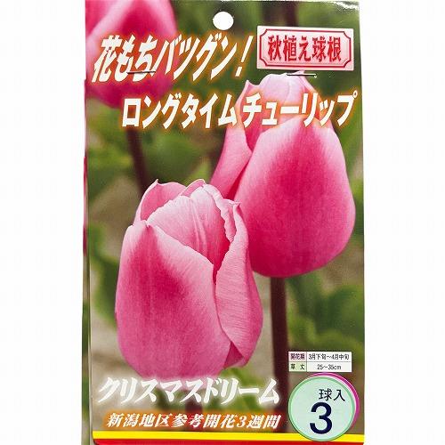 球根　ロングタイムチューリップ【5袋セット】　秋・冬植え ガーデニング 花壇 5品種セット 福袋 |  | 03