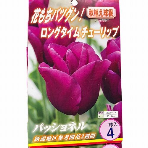 球根　ロングタイムチューリップ【5袋セット】　秋・冬植え ガーデニング 花壇 5品種セット 福袋 |  | 05
