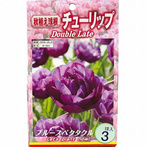 球根　チューリップ八重咲き【5袋セット】　秋・冬植え ガーデニング 花壇 品種おまかせ 福袋 |  | 01