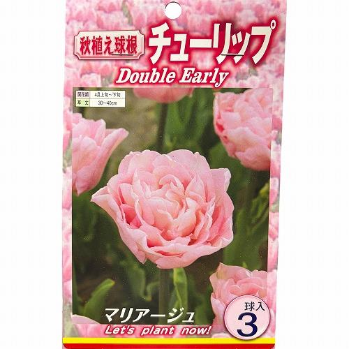 球根　チューリップ八重咲き【5袋セット】　秋・冬植え ガーデニング 花壇 品種おまかせ 福袋 |  | 02