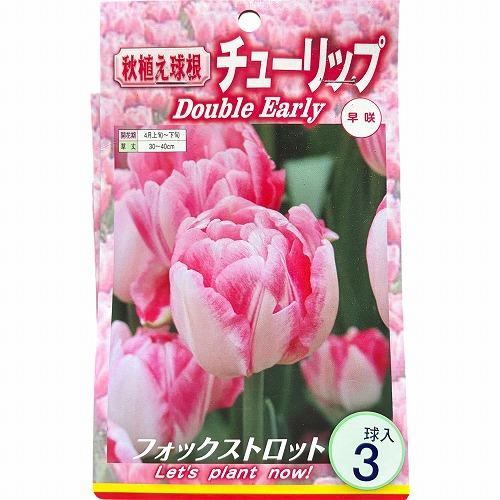 球根　チューリップ八重咲き【5袋セット】　秋・冬植え ガーデニング 花壇 品種おまかせ 福袋 |  | 03