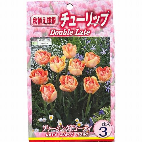 球根　チューリップ八重咲き【5袋セット】　秋・冬植え ガーデニング 花壇 品種おまかせ 福袋 |  | 04