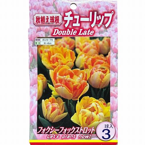 球根　チューリップ八重咲き【5袋セット】　秋・冬植え ガーデニング 花壇 品種おまかせ 福袋 |  | 07