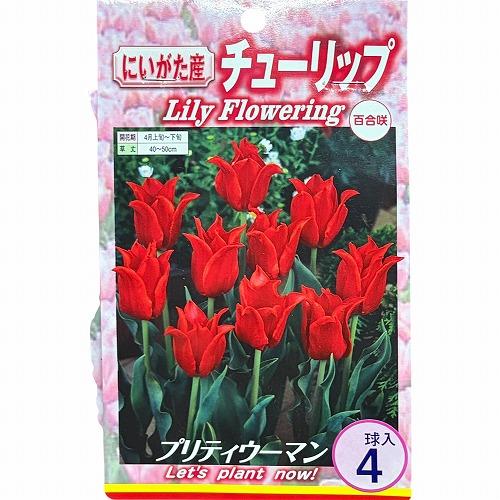 球根　チューリップ百合咲き【5袋セット】　秋・冬植え ガーデニング 花壇 品種おまかせ 福袋 |  | 01