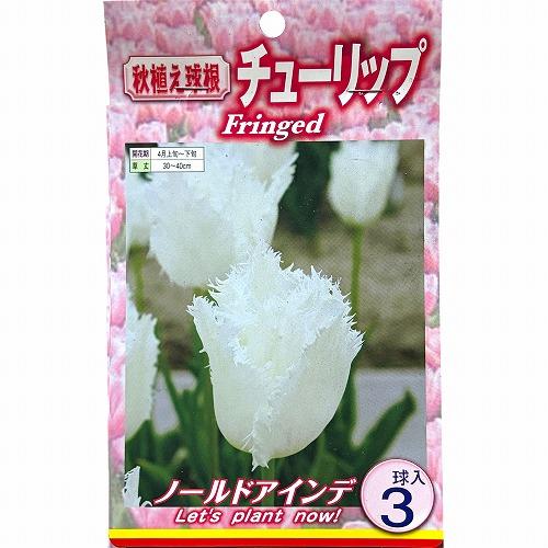 球根　チューリップフリンジ咲き【5袋セット】　秋・冬植え ガーデニング 花壇 品種おまかせ 福袋 |  | 01