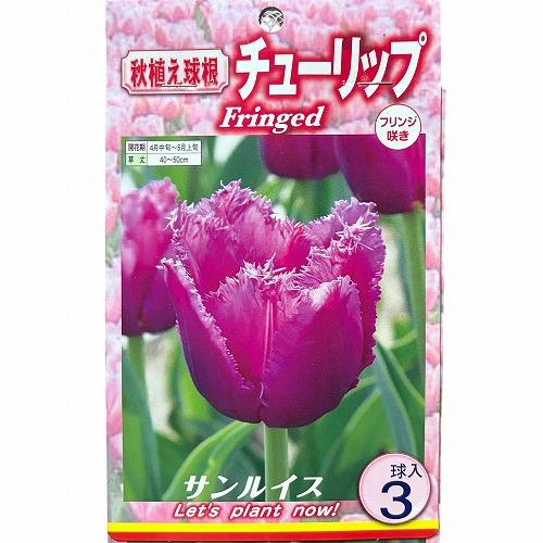 球根　チューリップフリンジ咲き【5袋セット】　秋・冬植え ガーデニング 花壇 品種おまかせ 福袋 |  | 02