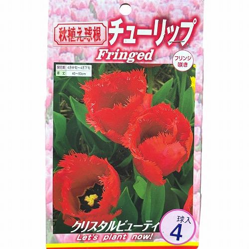 球根　チューリップフリンジ咲き【5袋セット】　秋・冬植え ガーデニング 花壇 品種おまかせ 福袋 |  | 06