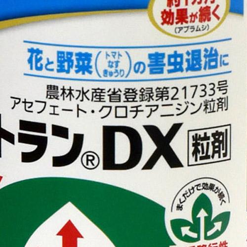 住友化学園芸 オルトランDX粒剤 200g 殺虫剤 オールマイティ | KINCHO園芸 | 04