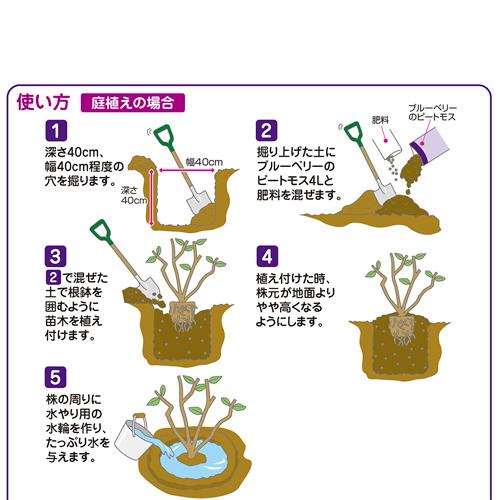 酸性　ブルーベリーのピートモス 4L 花ごころ　ピートモス 鉄分 マグネシウム イオウ成分 | 花ごころ | 01