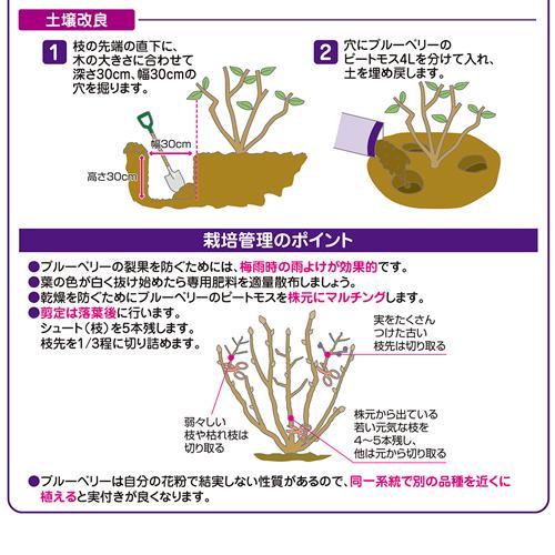 酸性　ブルーベリーのピートモス 4L 花ごころ　ピートモス 鉄分 マグネシウム イオウ成分 | 花ごころ | 02