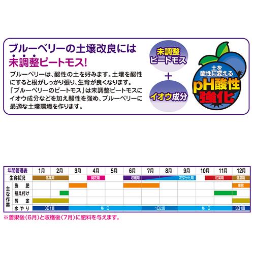 酸性　ブルーベリーのピートモス 4L 花ごころ　ピートモス 鉄分 マグネシウム イオウ成分 | 花ごころ | 03
