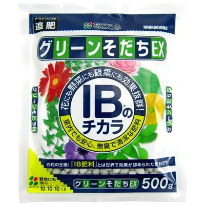 化成肥料 　花ごころ グリーンそだちEX 500g【2個まで宅急便コンパクト可能】IB化成 寄せ植え 寄植え 匂わない 匂いが少ない 虫が湧きにくい 室内 野菜 観葉植物 | 花ごころ