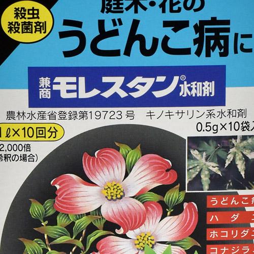 住友化学園芸 兼商モレスタン水和剤 0.5gX10 殺菌剤 うどんこ病 | KINCHO園芸 | 04