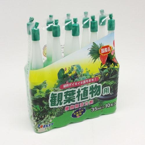 アンプル剤　観葉植物用活力剤 35ml×10　活力液肥 ヨーキ産業【2個まで宅急便コンパクト】 | 