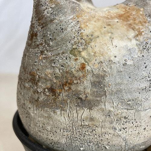 塊根植物 コーデックス パキポディウム ロスラツム グラキリス 4号丸鉢(黒）個体A(現品) インテリア 室内園芸 かっこいい ビザールプランツの画像