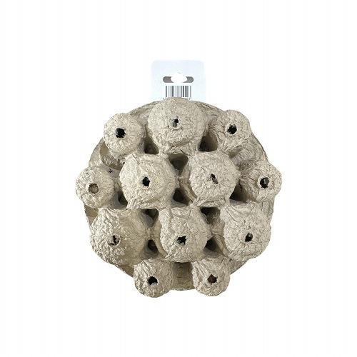 球根 7号鉢にぴったり そのまま植えるだけ　つぼみの精 2種ミックス ミニチューリップ×ムスカリ |  | 02