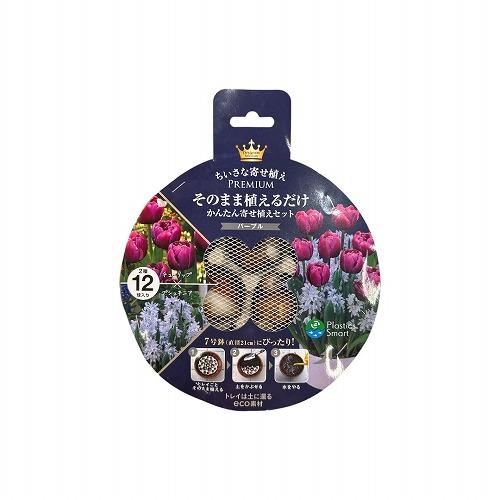 球根 7号鉢にぴったり そのまま植えるだけ　PREMIUM 2種ミックス パープル チューリップ×プシュキニア | 