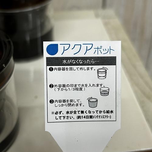 洋ラン　ジュエルオーキッド アネクトキルス バーマニカス 2.5号底面給水(個体おまかせ1鉢)　インテリア 室内 おしゃれ 可愛い かわいい |  | 05