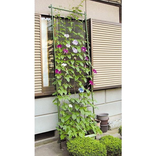 緑のカーテン立て掛けタイプ 第一ビニール Leafs ヤフー店 通販 Yahoo ショッピング