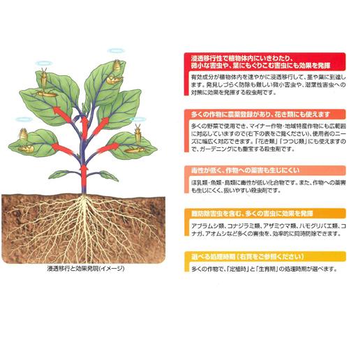 殺虫剤　スターガード粒剤 800g エムシー緑化　アブラムシ 害虫駆除 浸透移行性 コナジラミ |  | 01