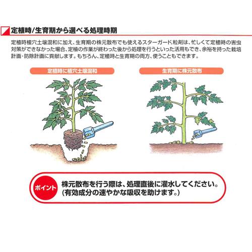 殺虫剤　スターガード粒剤 800g エムシー緑化　アブラムシ 害虫駆除 浸透移行性 コナジラミ |  | 03