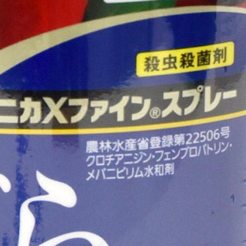 住友化学園芸 ベニカXファインスプレー(マイローズ) 950ml バラ 殺虫殺菌剤 オールマイティ アブラムシ | KINCHO園芸 | 04