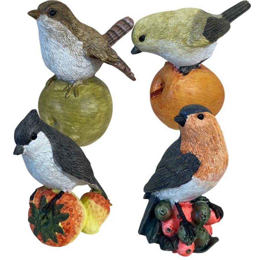 野川  11114 フルーツバード (４種アソート) | 