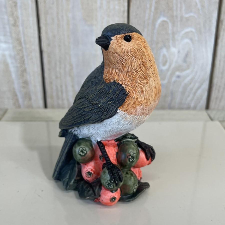 野川  11114 フルーツバード (４種アソート) |  | 01