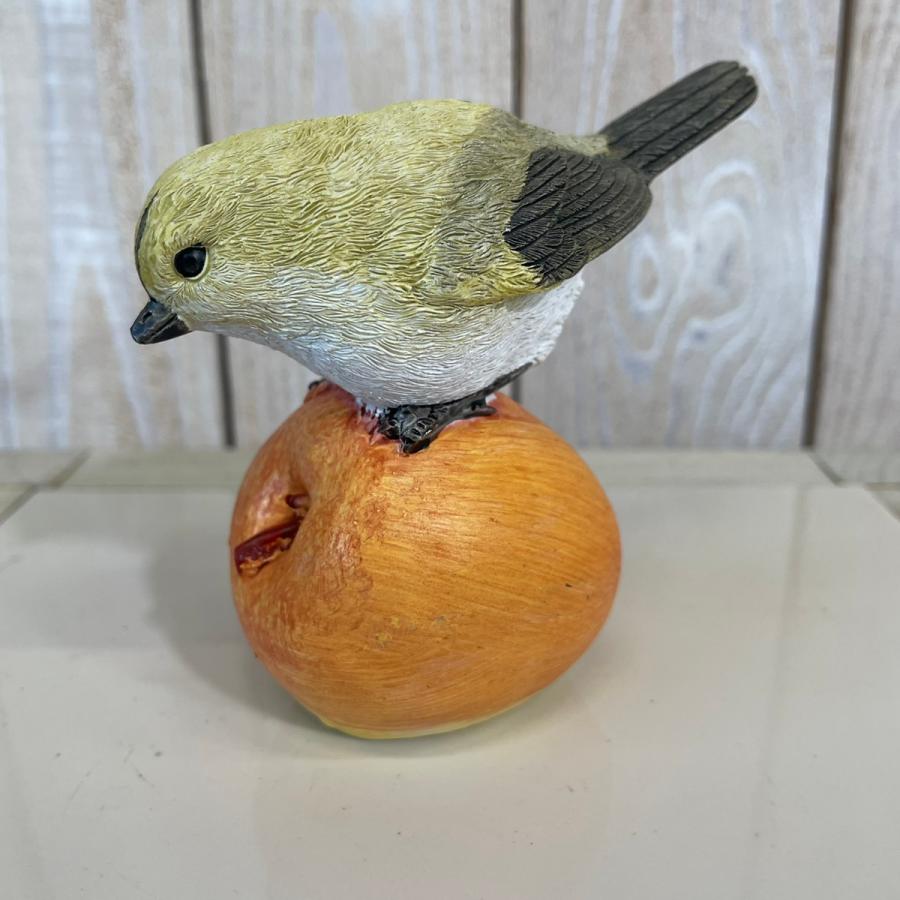 野川  11114 フルーツバード (４種アソート) |  | 03