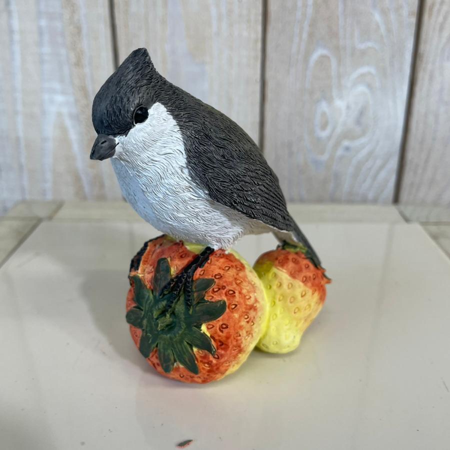 野川  11114 フルーツバード (４種アソート) |  | 04