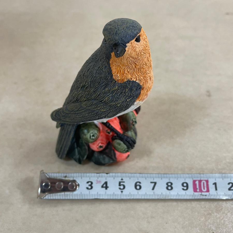 野川  11114 フルーツバード (４種アソート) |  | 05